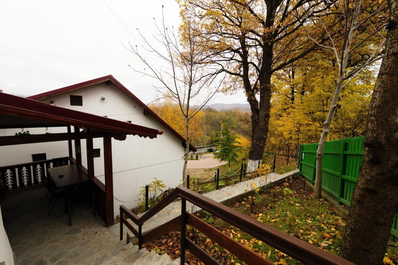 Stejarul Lui Andrei Hotel Izvoarele  Екстериор снимка